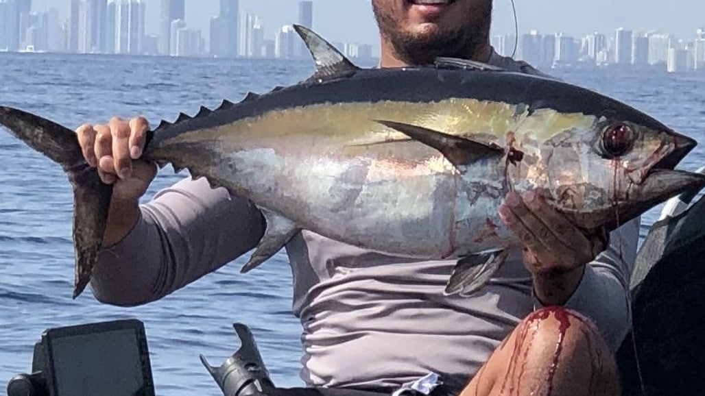 blackfin tuna recipes