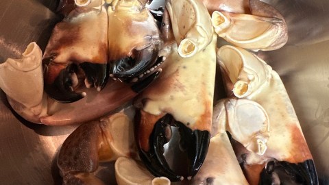 stone crab claws