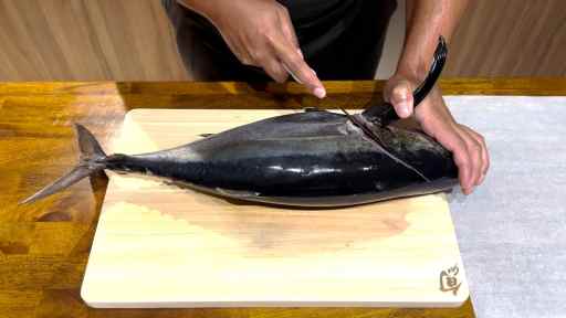 how to fillet a blackfin tuna