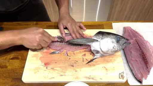 how to fillet a blackfin tuna