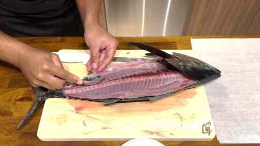 how to fillet a blackfin tuna