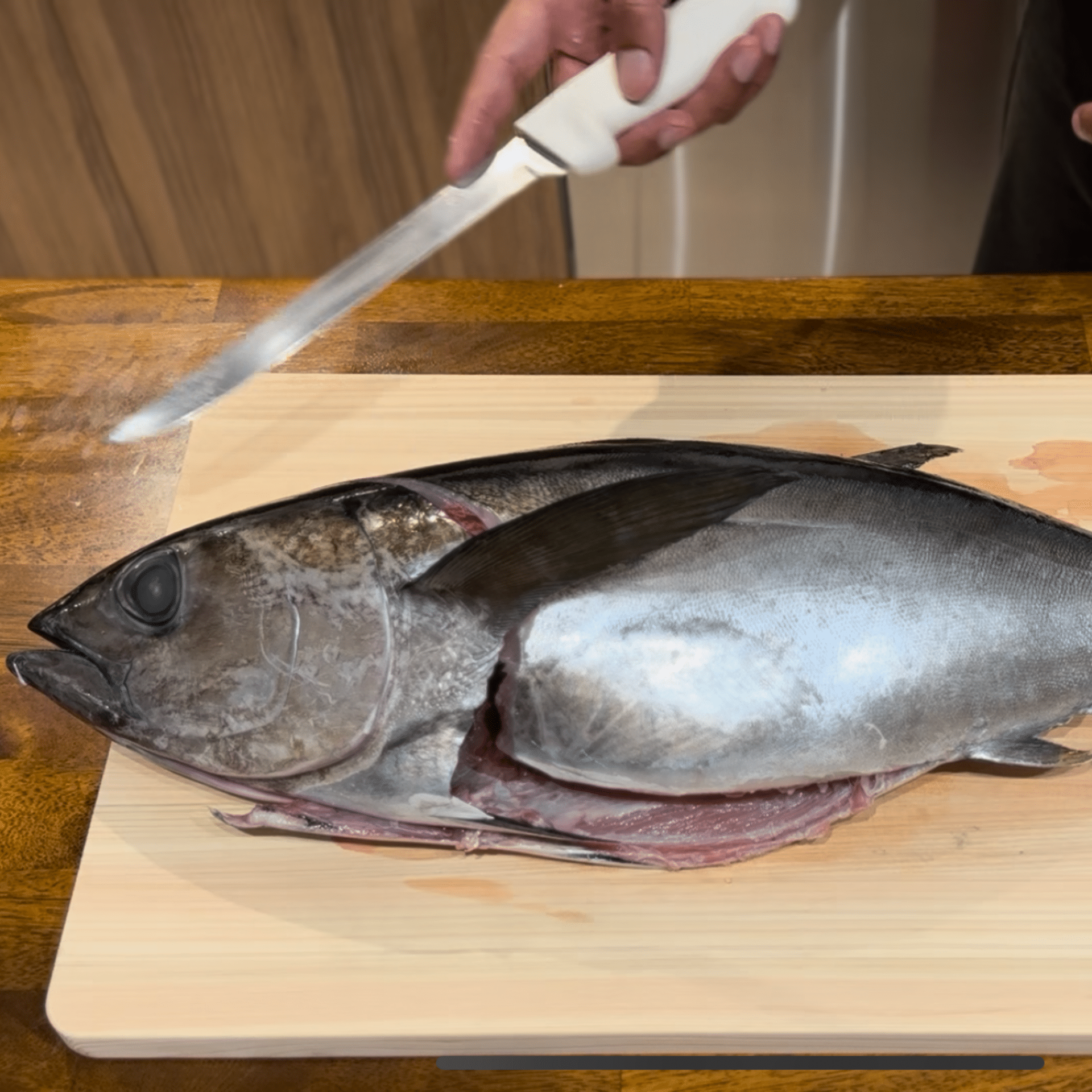 how to fillet a blackfin tuna