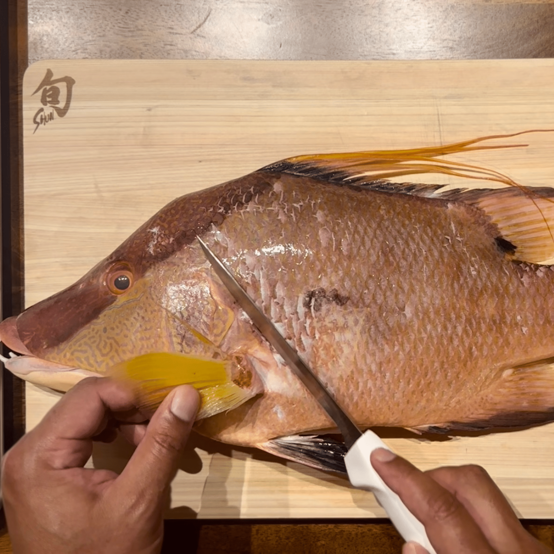how to fillet a hogfish