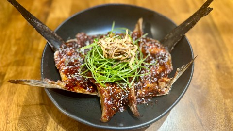 korean blackfin tuna belly and collars