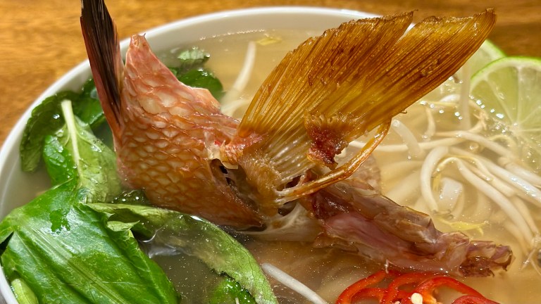 hogfish pho