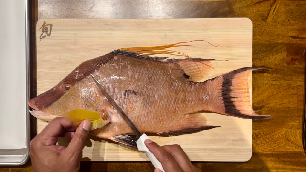 how to fillet a hogfish