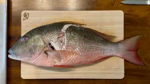 how to fillet a mutton snapper