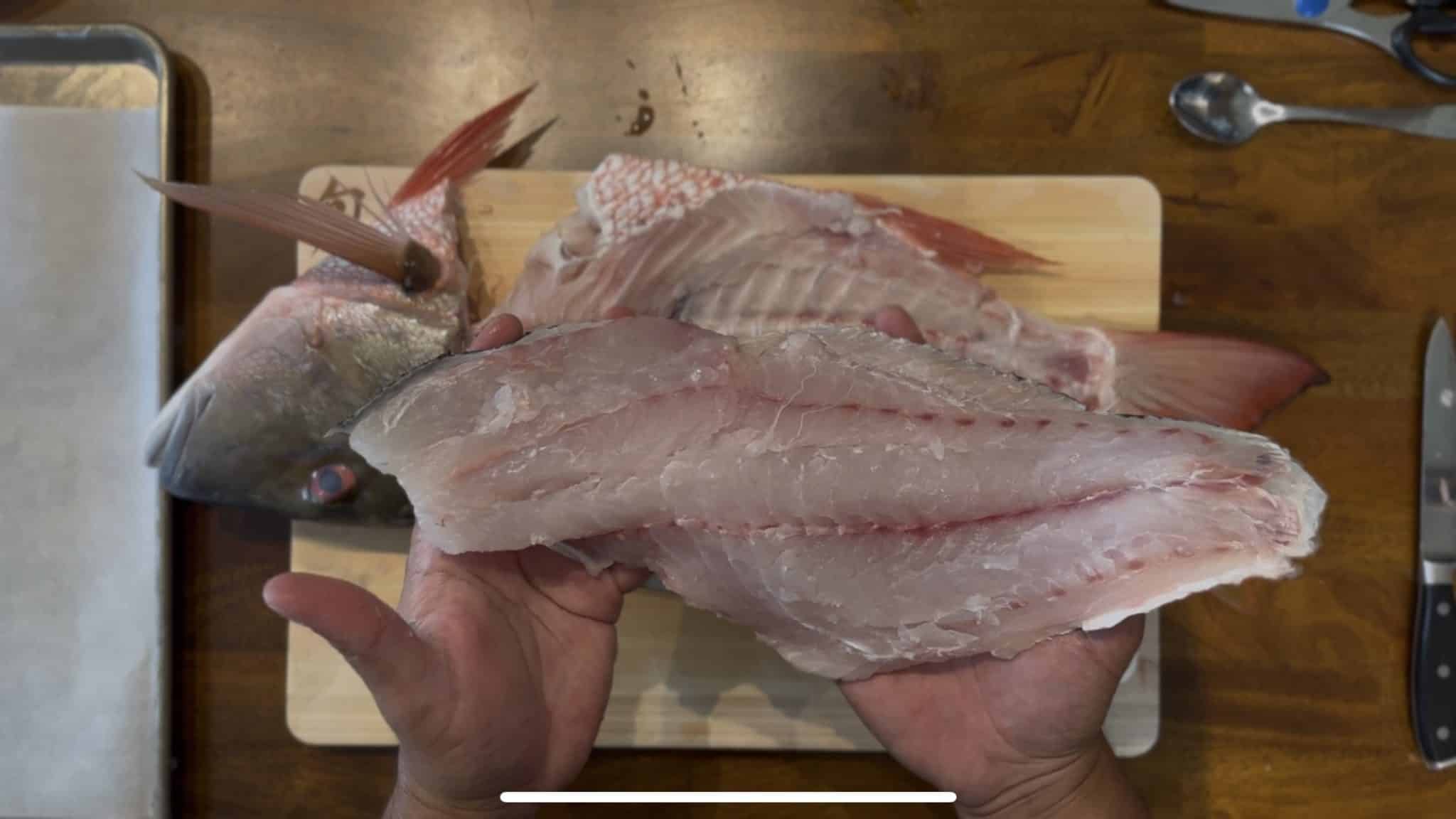 mutton snapper fish fillet