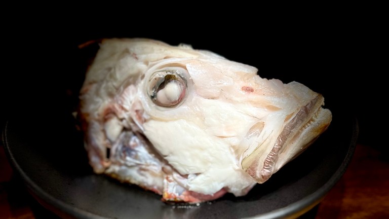 baked snapper head