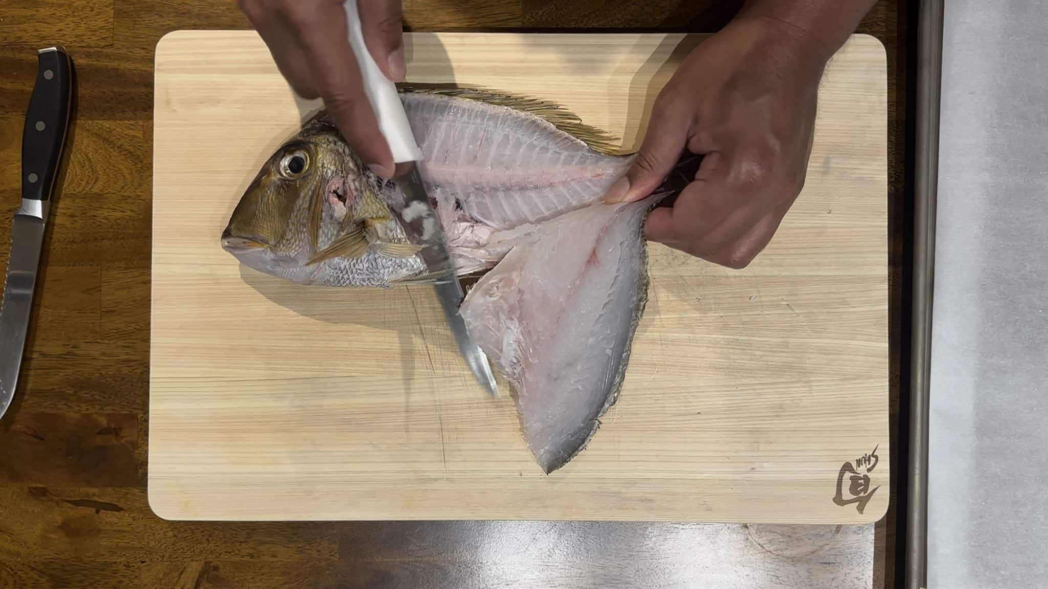 remove the left fillet