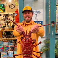 california spiny lobster