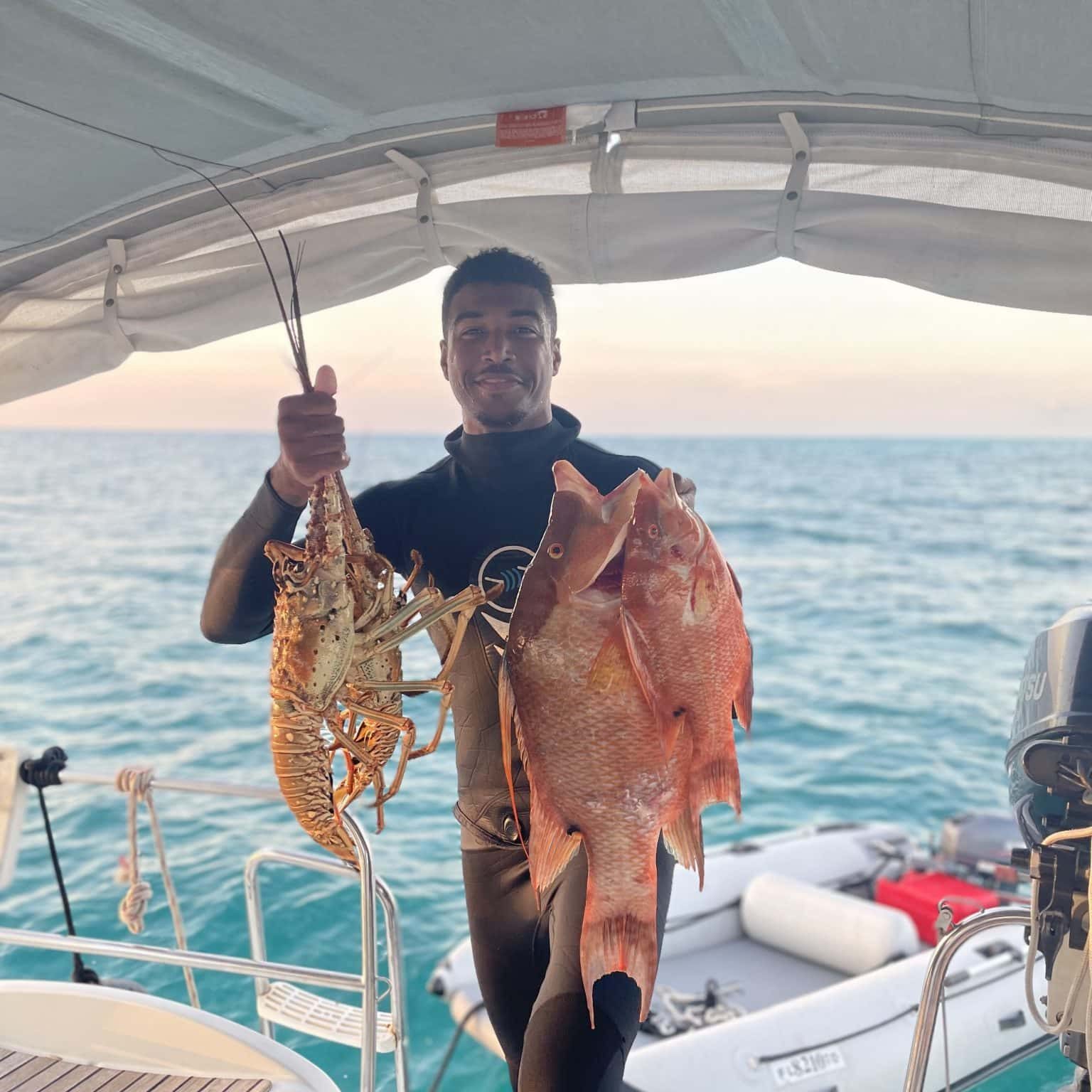 spearfishing hogfish in the bahamas